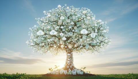 Cómo escalar tu plataforma sin que explote